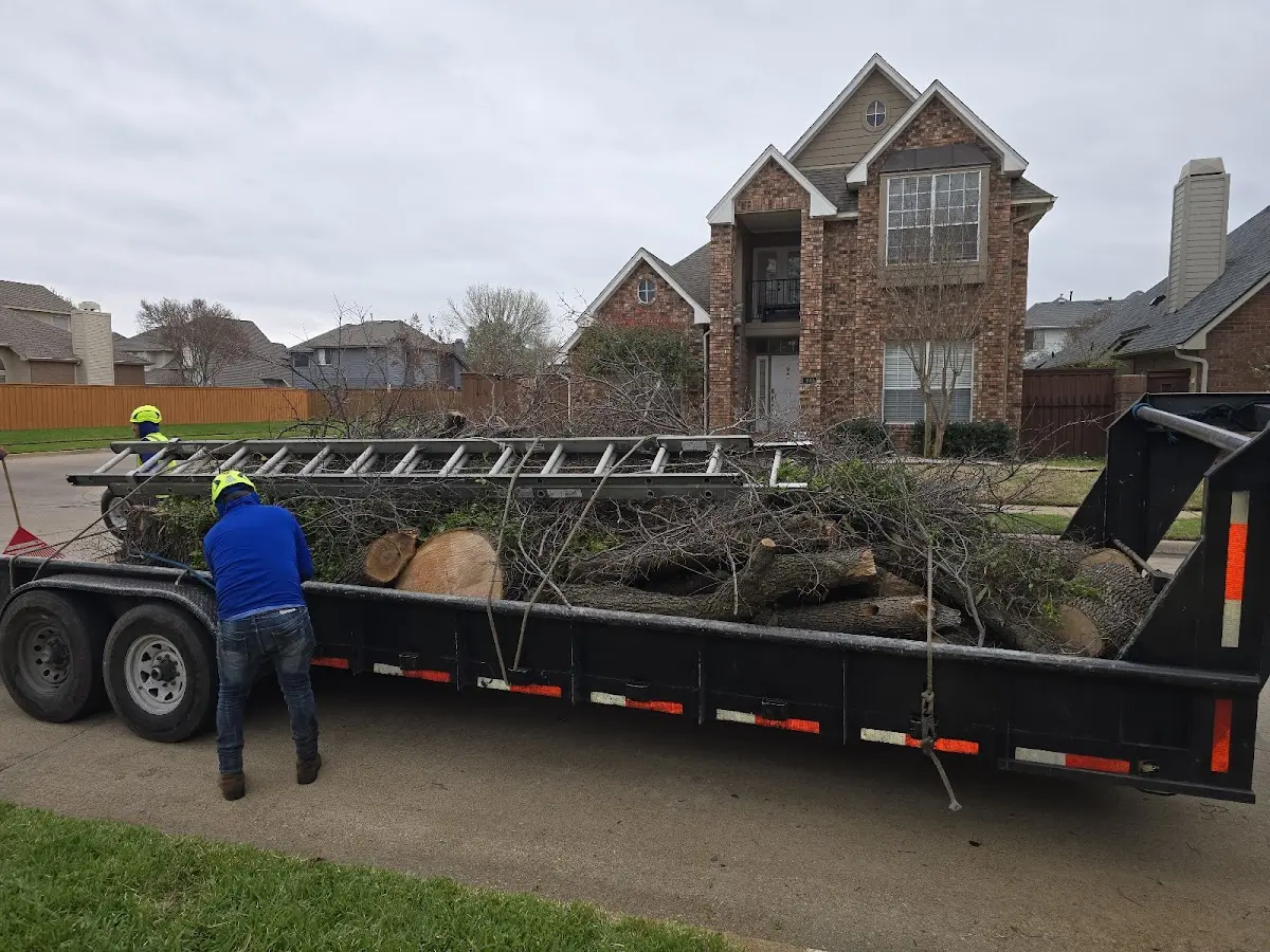 Expert Tree Fertilization with proper safety equipment in Lockhart